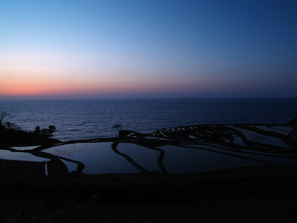 P5076589_.jpg