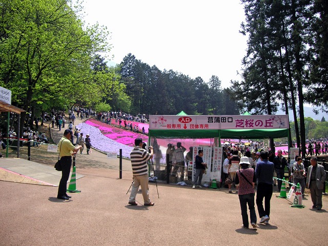 PICT3921.jpg