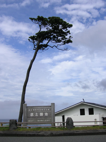 PICT4355.jpg