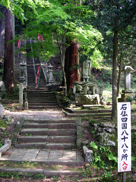 PICT4451.jpg