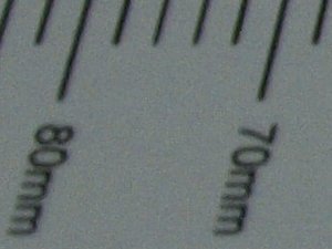 _3016908_downleft.JPG