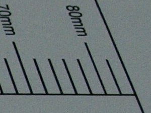 _3016908_upright.JPG