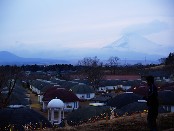 _3022328.jpg