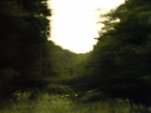 _6207976.jpg