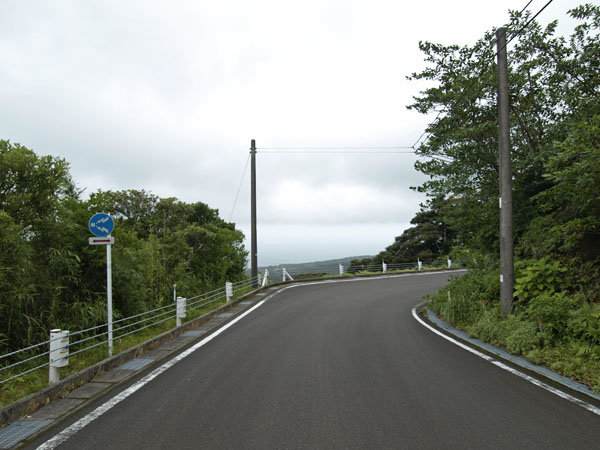 _7218046.jpg