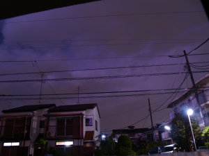 20050812-2.jpg