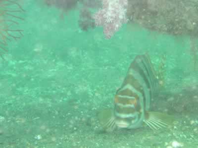 20050828.jpg