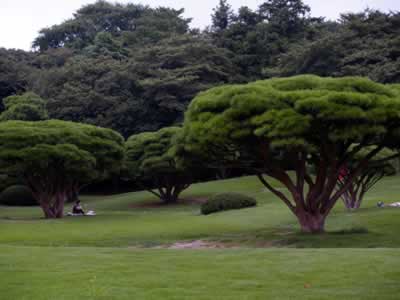 20050904-2.jpg