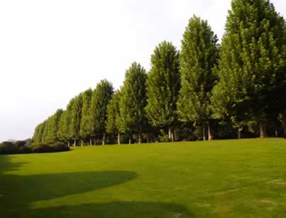 20050904.jpg