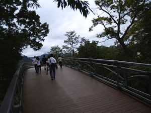 20050923-0.jpg