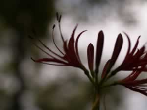 20050923-2.jpg
