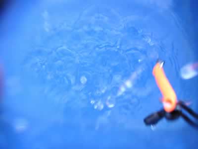 20051002.jpg