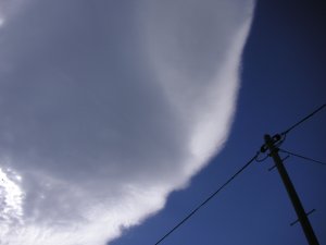 20051004-0.JPG