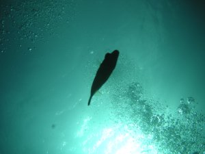 20051004-1.JPG