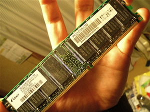 20051019-1.jpg