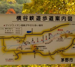 20051030-3.jpg