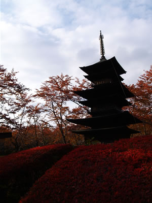 20051031-2.jpg