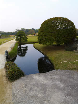 20051103-4.jpg