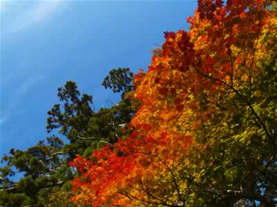 20051104-1.jpg