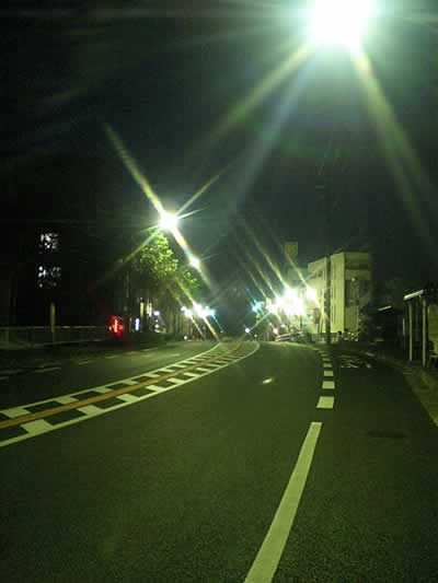 20051115-1.jpg