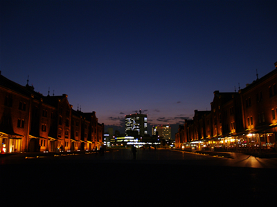 20051117-1.jpg