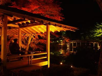 20051129-4.jpg