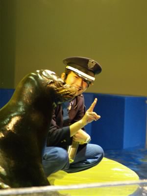 20060116-3.jpg