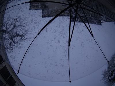 20060123-2.jpg