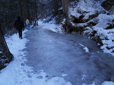 20060204-3.jpg