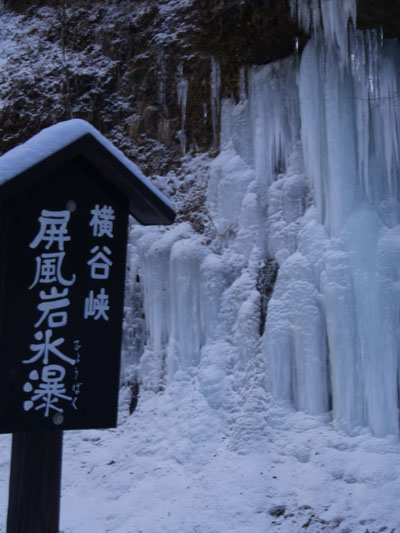 20060204.jpg