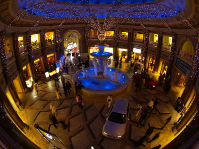 20060206-3.jpg