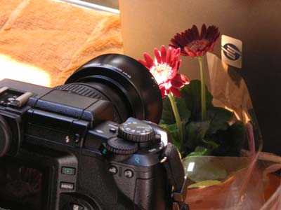 20060211-2.jpg