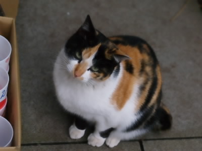 20060221-5.jpg