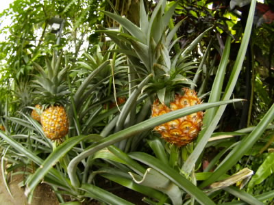 20060228.jpg