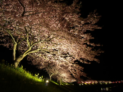 20060311.jpg