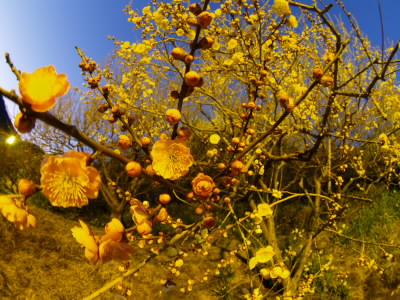 20060312.jpg