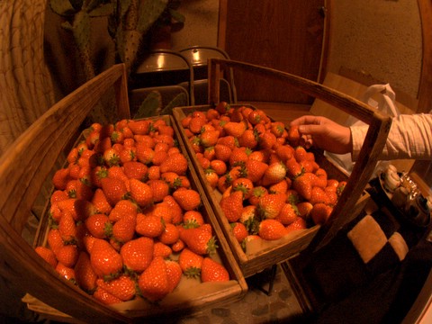 20060405-2.jpg