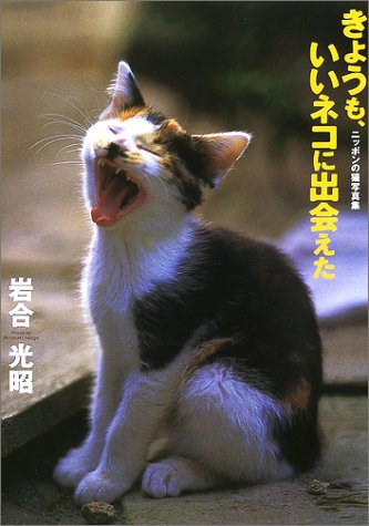 20060412.jpg