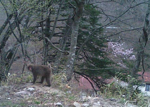 20060507-8.jpg