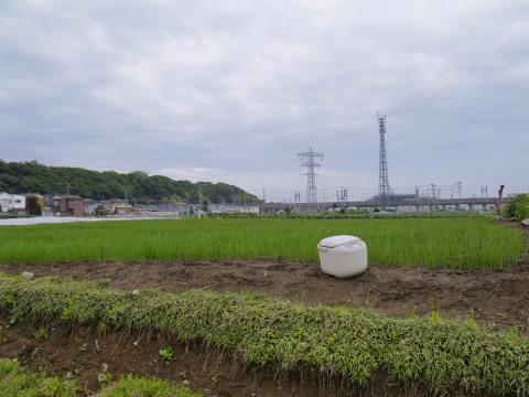 20060515-2.jpg