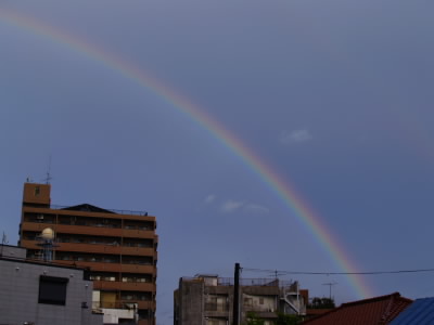 20060520.jpg