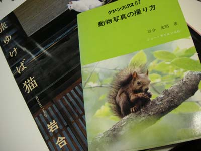 20060527.jpg