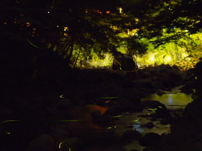 20060613.jpg