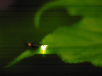 20060624.jpg