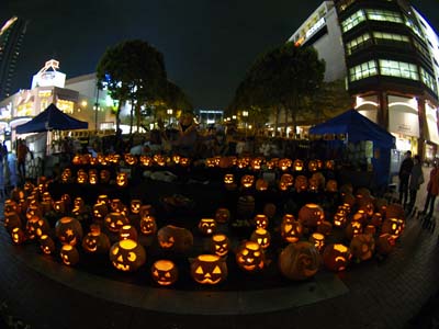 20061029_1.jpg