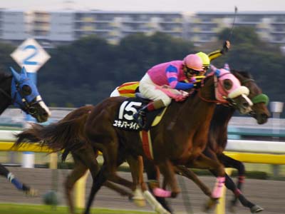 20061126-3.jpg