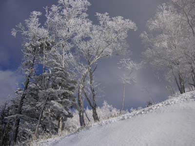 20070105-2.jpg