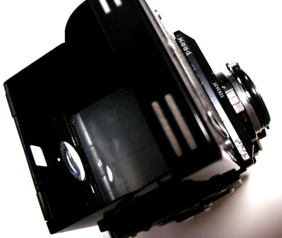 20070129-1.jpg