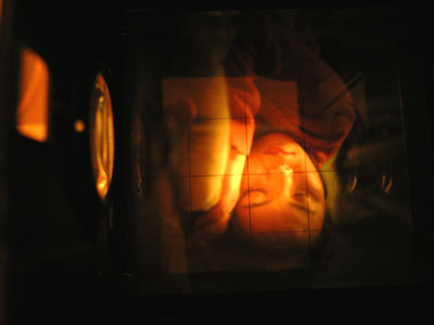 20070129-2.jpg