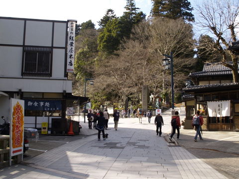 20070312-6.JPG